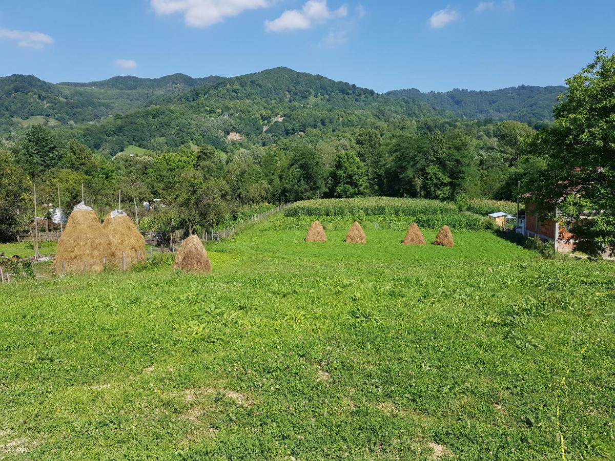 Heaven Guesthouse Corbeni Buitenkant foto